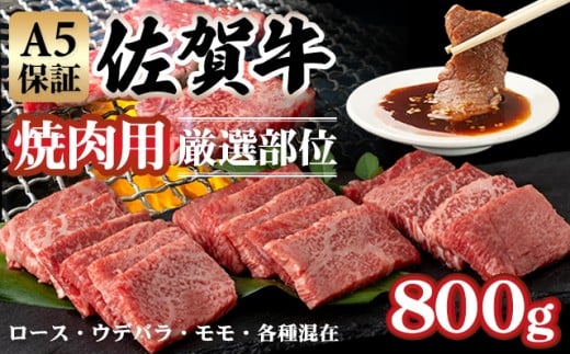 【佐賀牛】【5月】A5 焼肉用 厳選部位 800g(400g×2P)桑原畜産 焼肉 ブランド牛 黒毛和牛 焼肉 九州 佐賀牛 A5だけ 薄切り 焼き肉 やきにく 焼肉 人気 ランキング 高評価 焼肉 牛肉 国産佐賀県