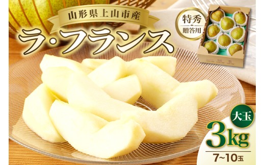 miEtXjR@ʁ@Gi@p@0055-2516R`Rs14000ʕEt[c񂲁E