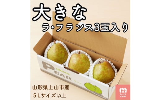 西洋梨(ラ・フランス)3玉 大玉 特秀品 0055-2518山形県上山市8000果物・フルーツりんご・梨