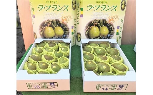 西洋梨(ラ・フランス)5kg 特秀品 0089-2504山形県上山市22000果物・フルーツりんご・梨