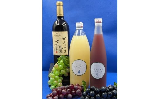 かみのやまプレミアムワインとフルーツジュース家飲みセット 0141-2504山形県上山市28000酒・アルコールワイン