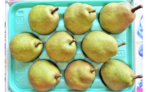 西洋梨(ラ・フランス)3kg 0025-2513山形県上山市9000果物・フルーツりんご・梨