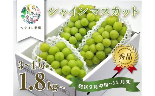 上山産・絶品シャインマスカット 1.8kg以上♪ 0140-2506山形県上山市22000果物・フルーツマスカット・ぶどう