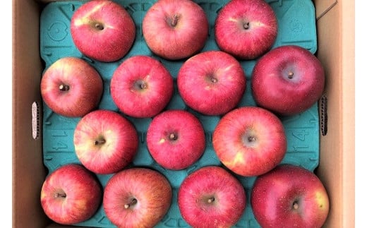 񂲁iӂ񂲁jPO@0007-2503R`Rs18000ʕEt[c񂲁E