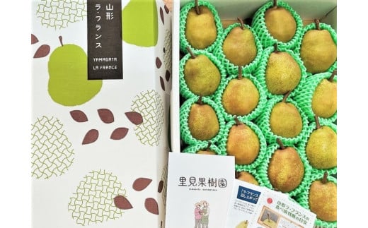 西洋梨(ラ・フランス)5kg 18〜20玉 特秀品 0079-2518山形県上山市17000果物・フルーツりんご・梨
