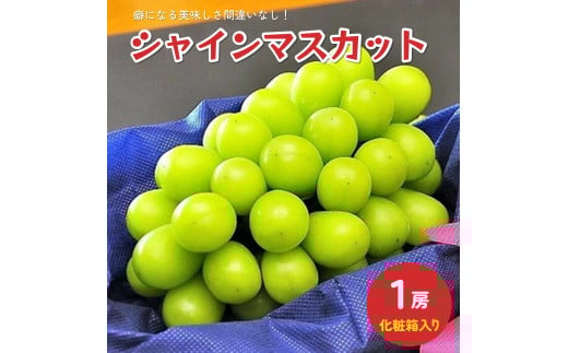 ԂǂiVC}XJbgjP[@ϔ@0010-2502R`Rs18000ʕEt[c}XJbgEԂǂ