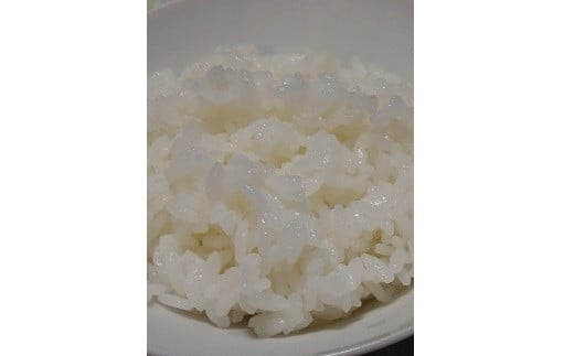 【2025年11月〜発送】令和7年産 はえぬき(精米)5kg 0030-2515山形県上山市15000米・パン白米