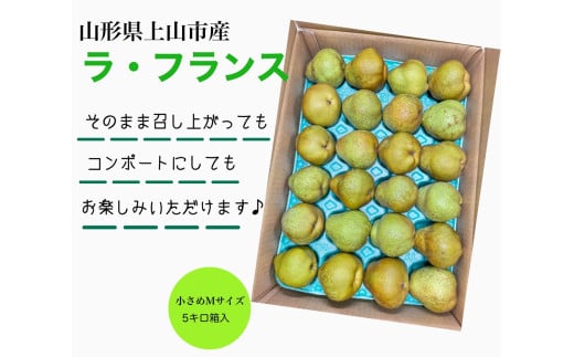 西洋梨(ラ・フランス)5kg Mサイズ ご家庭用 0055-2514山形県上山市11000果物・フルーツりんご・梨