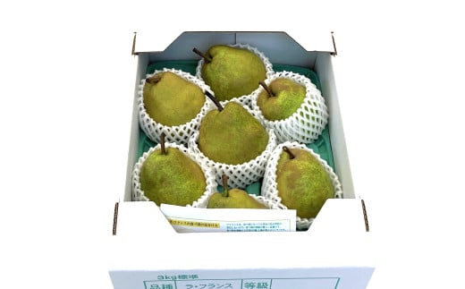 西洋梨(ラ・フランス)3.3kg 大玉 秀品 0009-2513山形県上山市13000果物・フルーツりんご・梨