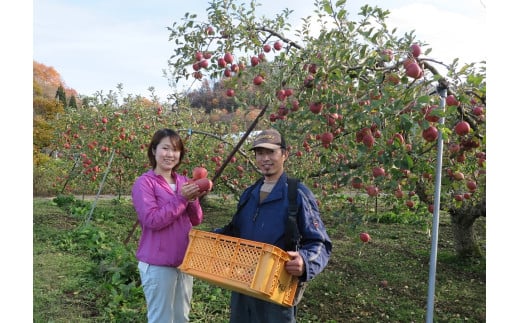 有機肥料栽培 葉とらずサンふじ 上山市産 5kg 14〜25玉 ご家庭用 0079-2522山形県上山市15000果物・フルーツりんご・梨