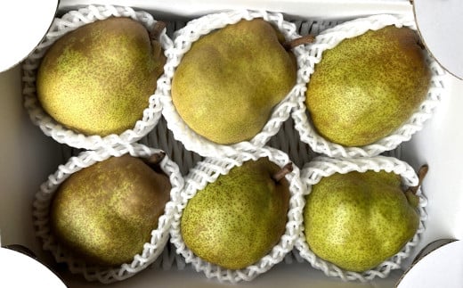 西洋梨(ラ・フランス)2kg ご家庭用 0065-2505山形県上山市9000果物・フルーツりんご・梨