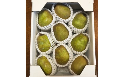 西洋梨(ラ・フランス)3kg ご家庭用 0137-2501山形県上山市9000果物・フルーツりんご・梨