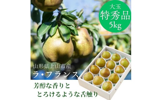 西洋梨(ラ・フランス)5kg 特秀品 0055-2517山形県上山市19000果物・フルーツりんご・梨