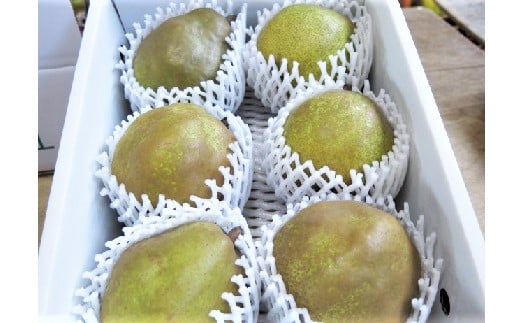 西洋梨(ラ・フランスまたはゴールドラ・フランス)2.5kg 中玉〜大玉 0075-2508山形県上山市10000果物・フルーツりんご・梨