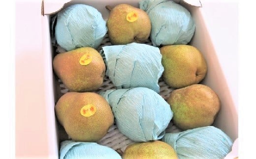 西洋梨(ラ・フランスまたはゴールドラ・フランス)3.5kg ご家庭用 0075-2507山形県上山市9000果物・フルーツりんご・梨