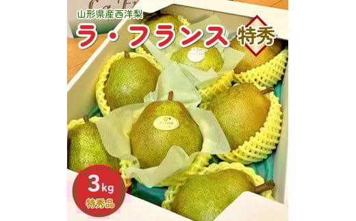 【山形セレクション認定品】西洋梨(ラ・フランス)3kg 特秀品 0010-2504山形県上山市13000果物・フルーツりんご・梨