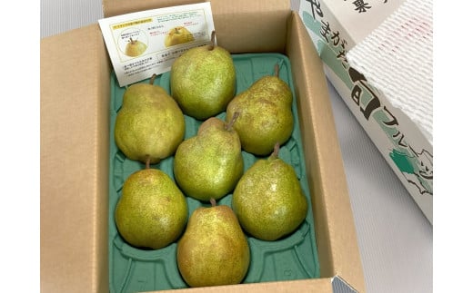 西洋梨(ラ・フランス)3kg 大玉 ご家庭用 0009-2511山形県上山市9000果物・フルーツりんご・梨