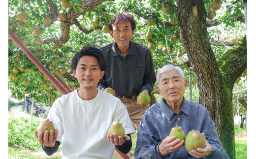 西洋梨(ラ・フランス)3.4kg ご家庭用 0078-2505山形県上山市10000果物・フルーツりんご・梨