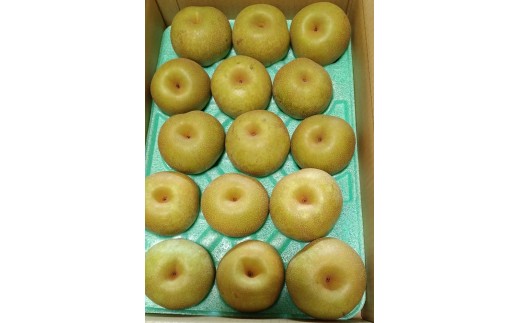 aiKjT@GEGi@0042-2601R`Rs13000ʕEt[c񂲁E