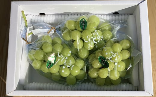 シャインマスカット 2〜3房 合計1.5kg ご家庭用 0049-2510山形県上山市15000果物・フルーツマスカット・ぶどう