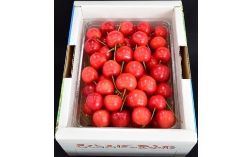 さくらんぼ(佐藤錦か紅秀峰)500g 秀品 0056-2602山形県上山市17000果物・フルーツさくらんぼ