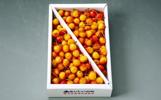 さくらんぼ(佐藤錦か紅秀峰)1kg ご家庭用 0020-2603山形県上山市20000果物・フルーツさくらんぼ