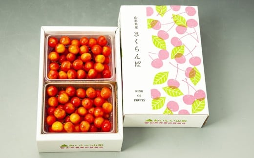 ځiтgGjP@Gi@0020-2604R`Rs23000ʕEt[c