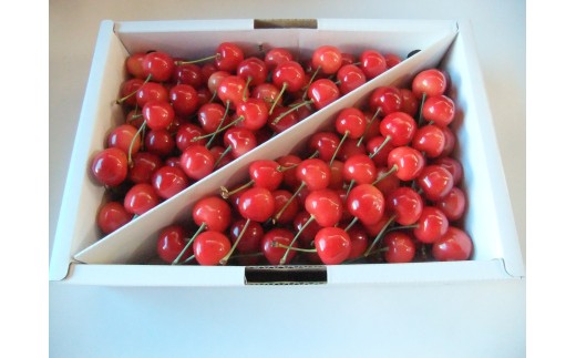 ځiтgGjP@Gi@0030-2604R`Rs23000ʕEt[c