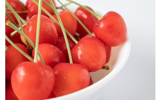 さくらんぼ(佐藤錦か紅秀峰)1kg ご家庭用 0112-2603山形県上山市20000果物・フルーツさくらんぼ