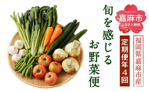 旬を感じるお野菜 定期便 年4回 季節 野菜セット福岡県嘉麻市68000野菜・きのこその他 野菜
