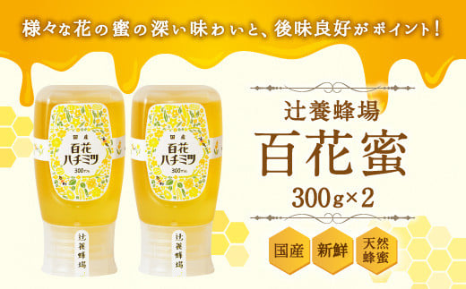 辻養蜂場 百花蜜 300g×2 合計600g 純粋はちみつ 蜂蜜福岡県嘉麻市13000鍋セット・総菜・加工食品ジャム・はちみつ