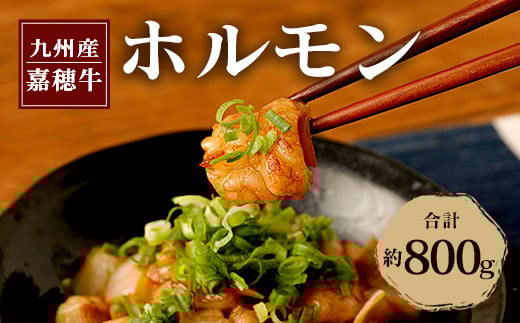 嘉穂牛 ホルモン 約800g ブランド牛福岡県嘉麻市13000肉牛肉