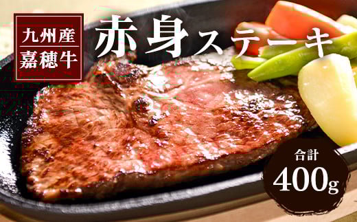 Õ䋍 Ԑg Xe[L 400g Ös13000