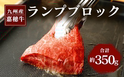 Õ䋍 v ubN 350g ʌ Ös13000