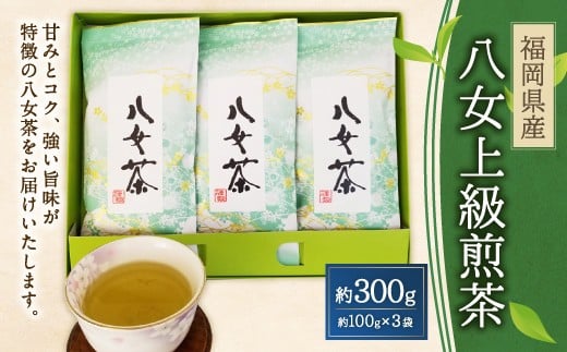 ㋉(100g×3)Ös19000E