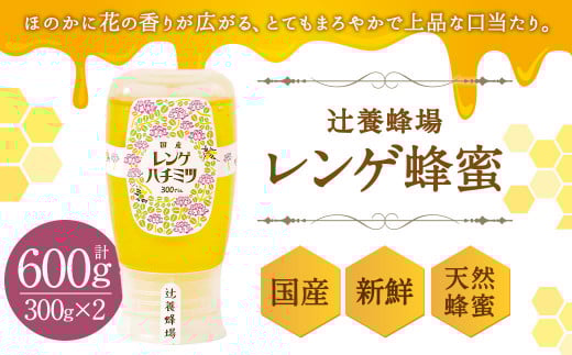 辻養蜂場 レンゲ蜂蜜 300g×2本 計600g はちみつ福岡県嘉麻市17000鍋セット・総菜・加工食品ジャム・はちみつ
