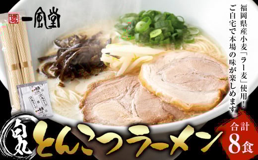 ラー麦使用「一風堂」とんこつラーメン 白丸(8食) 一風堂 白丸 らーめん 豚骨 とんこつ 豚骨スープ ストレート麺福岡県嘉麻市10000麺ラーメン