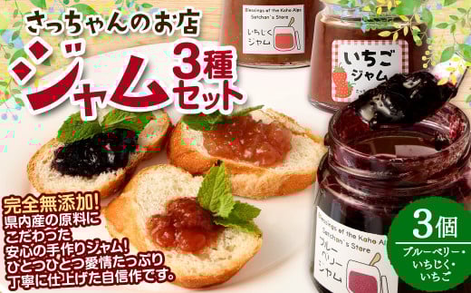 さっちゃんの店 ジャム 3種セット 各100g 3本セット (ブルーベリー・いちじく・いちご) 無添加 手作り 福岡県 嘉麻市福岡県嘉麻市8000鍋セット・総菜・加工食品ジャム・はちみつ