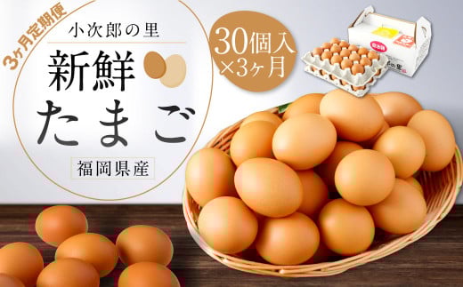【3ヶ月定期便】鶏卵 30ヶ入×3回 合計90個 たまご  福岡県産福岡県嘉麻市21000卵・乳製品卵(鶏、烏骨鶏等)
