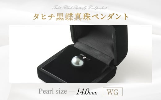 WG タヒチ黒蝶真珠 ペンダント 真珠サイズ14.0mm前後 高品質福岡県嘉麻市100000衣類・装飾品・工芸品アクセサリー