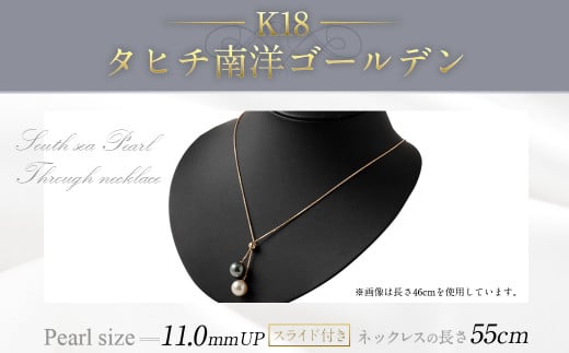 K18^q`mS[fXCht 55cm ^ lbNX ANZT[ i  ÖsÖs420000ߗށEiEH|iANZT[