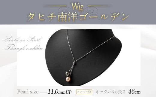 Wg^q`mS[fXCht 46cm ^ lbNX ANZT[ i  ÖsÖs350000ߗށEiEH|iANZT[