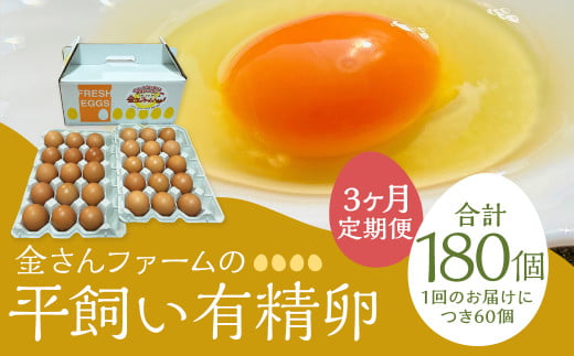 【定期便3回】【平飼い有精卵】60個入(54個+割れ保証6個) 合計180個 たまご 卵 玉子 鶏卵 平飼い 有精卵 定期便福岡県嘉麻市66000卵・乳製品卵(鶏、烏骨鶏等)
