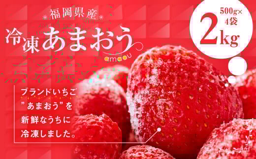 福岡県産 冷凍 あまおう 合計2kg (500g×4袋) いちご 苺 フルーツ福岡県嘉麻市13000果物・フルーツいちご