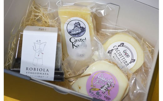 4種類の熟成チーズセット(藁のカチョッティーナ) 各1個 計360g チーズ 熟成チーズ セット福岡県嘉麻市18000卵・乳製品チーズ