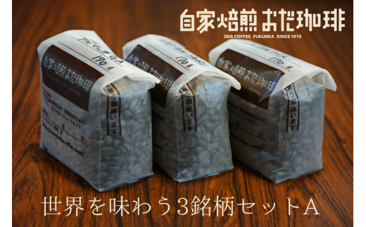 世界を味わう 3銘柄セットA 510g 世界各地の銘柄 コーヒー福岡県嘉麻市20000お茶・飲料コーヒー・紅茶