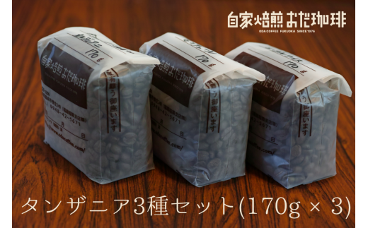 自家焙煎 おだ 珈琲 タンザニア 3種セット 各170g 合計510g コーヒー 豆福岡県嘉麻市18000お茶・飲料コーヒー・紅茶