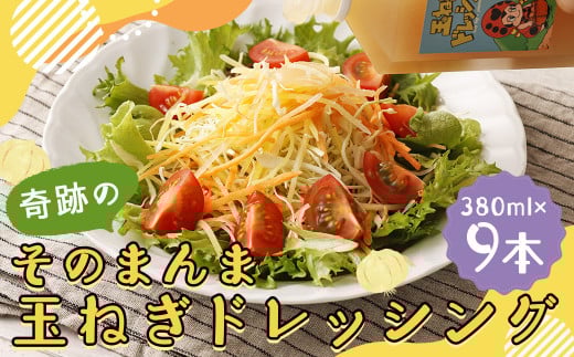 奇跡のそのまんま 玉ねぎドレッシング 9本セット (380ml×9本) ドレッシング 調味料 無添加 ノンオイル福岡県嘉麻市45000調味料・油ドレッシング