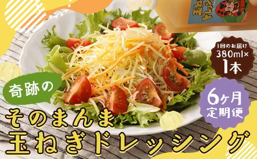 【6回定期便】 奇跡のそのまんま 玉ねぎドレッシング 380ml 計6本 ドレッシング 調味料 無添加 ノンオイル福岡県嘉麻市30000調味料・油ドレッシング