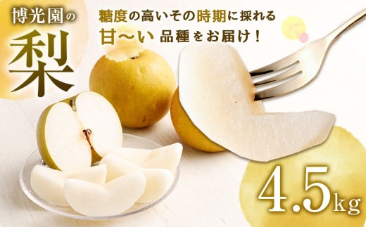 美味しい 【九州産】 梨 4.5kg 【2025年9月下旬〜12月下旬迄発送予定】 豊水 20世紀 新高 新興 果物福岡県嘉麻市17000果物・フルーツりんご・梨